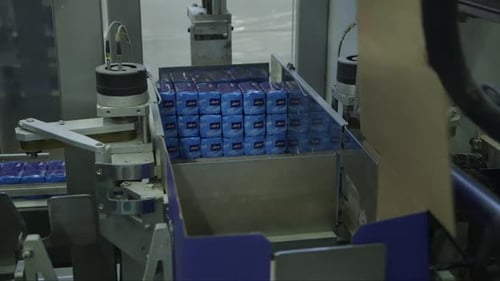 carton packing robot in a food factory