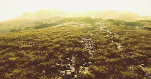 Expansive Grassy Terrain Under Bright Sunlight at Mountain Landscape