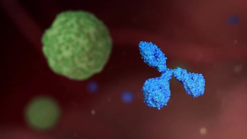 3D Animation of Antibody Interacting with a Cell