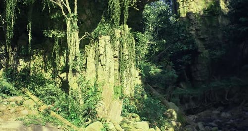 Lush Greenery Enveloping Ancient Rock Formations in a Tranquil Forest Setting