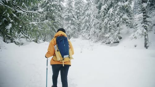 Woman hiking with poles in a snowy winter forest