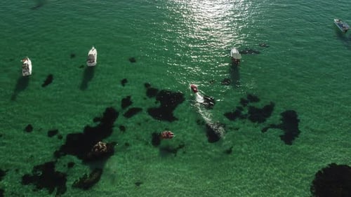 Aerial View of Watercraft and Boats on Turquoise Sea