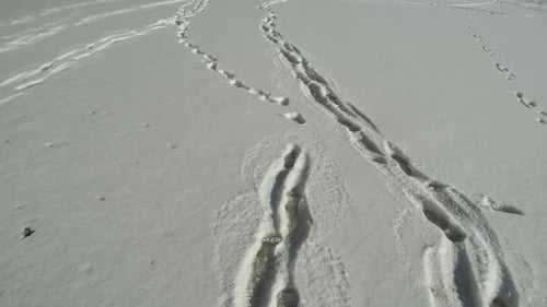 Footwalk snow tracks imprinted through the ground over Harasov Frozen lake in Kokorin, Czech Republi