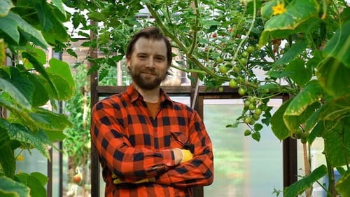 Young Man Gardening in a Greenhouse