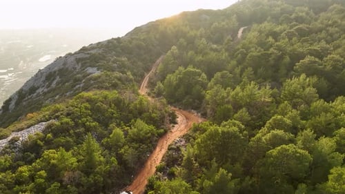 Luftbild der Straße, in der Autos in den Bergen rund um den Wald fahren