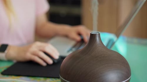 The Video Features a Young Woman Sitting at a Desk in Her Apartment Working on Her Laptop