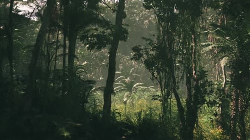 Exploring the Lush Jungle Landscapes of Vietnam Filled with Dense Greenery