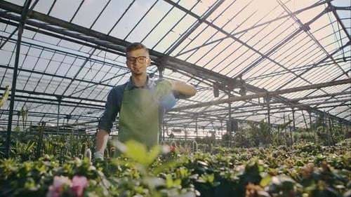 Greenhouse Worker Sprays Plants With Water Bottle