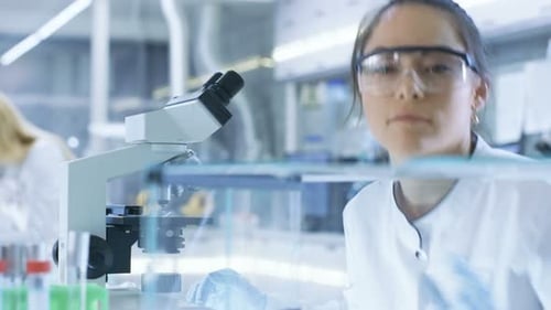 Female Scientist Examining Mice in Glass Enclosure
