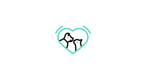 Petcare Animated Icon
