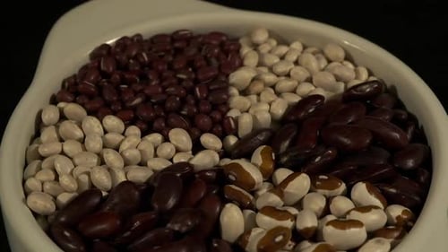 Dry Kidney, Navy, Yellow-eyed, Adzuki Bean bowl rotates in dark room