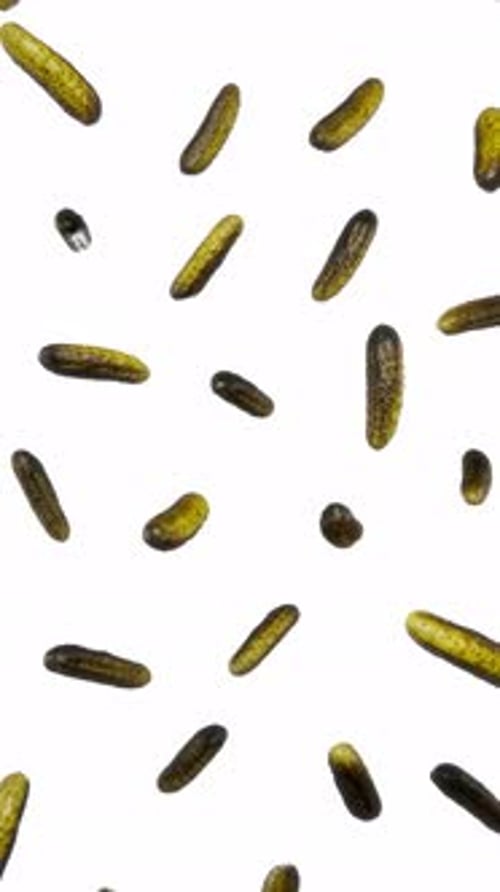 Vertical Falling Pickles Animation on White Background