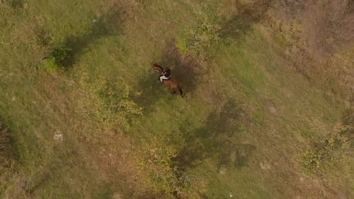 Horseback Riding Across Rural Plains, Aerial View