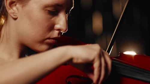 Female Beauty and Classical Music Close Up Portrait of Woman Playing Violin Attractive Female