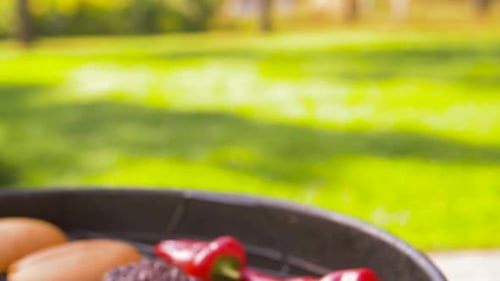 Concept de cuisine, de barbecue et de nourriture - Shish Kebab, viande de hamburger et légumes