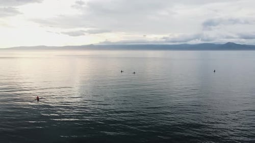 Many People Swim on Subboards Against the Background of Mountains and Clouds