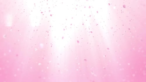Frühlingsblüten-Hintergrund