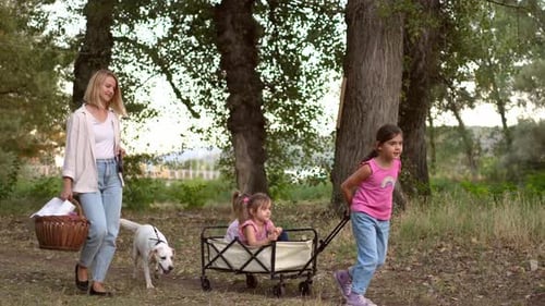 Happy family with a dog enjoys quality time together walking towards a picnic spot in a forest