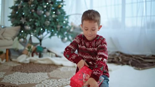 Boy Opens Christmas Gift by Decorated Tree