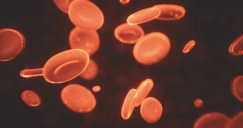 Microscopic View of Moving Red Blood Cells Against a Vivid Backdrop