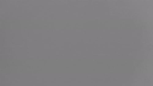 Emulsion Collection: Finely grained film overlay shot on a 35mm lens