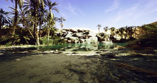 Serene Oasis Hidden Among Palm Trees Under a Bright Blue Sky
