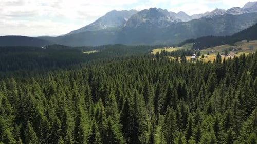Aerial view of a beautiful, coniferous forest, huge epic mountains stand on the horizon. Durmitor.