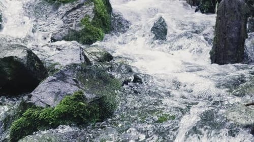 Fresh Water Flows Over Mossy Rocks in a Mountain Stream