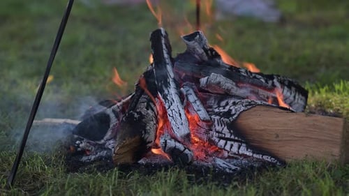 Burning Wood Embers and Flames of Campfire on Grass
