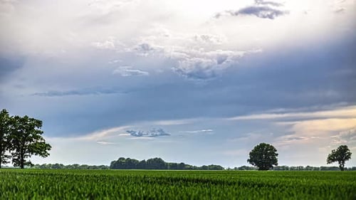 Scenic Green Field with Dramatic Clouds in the Countryside