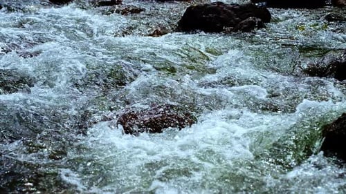 Close Up of River Stream on Stones