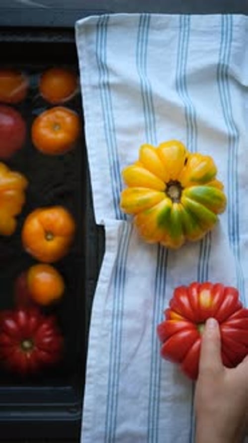 Hand Selecting Heirloom Tomatoes in Kitchen