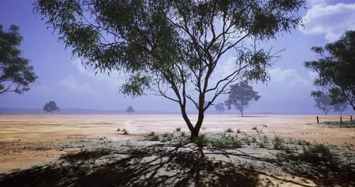Realistic Arid Landscape Panorama with Solitary Tree