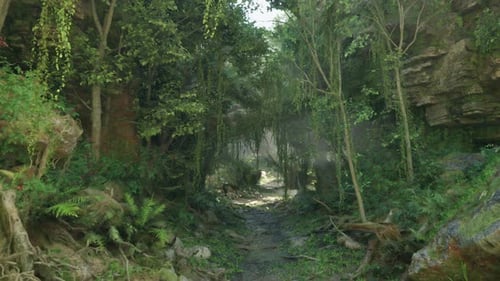A Scenic Dirt Road Winding Through a Forested Landscape with Rocky Outcrops
