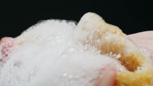 Sponge with Foamy Suds Close Up