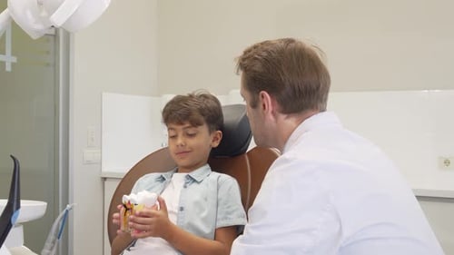 Young Boy Learning About Teeth From Dentist