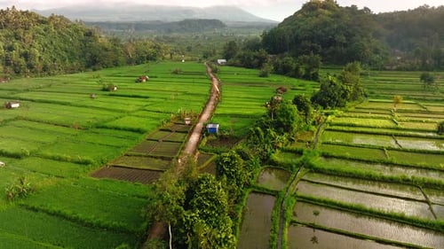 Aerial view of rice fields in Sidemen, Indonesia.