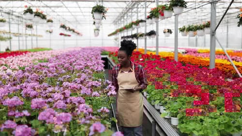 Woman Using Tablet in Colorful Greenhouse