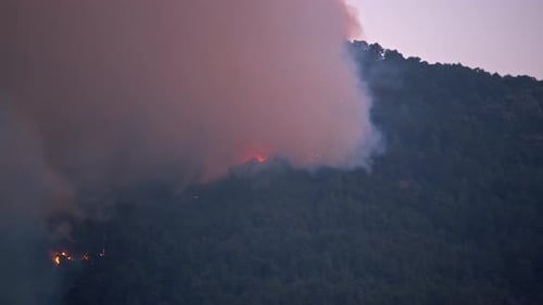 Großer Waldbrand