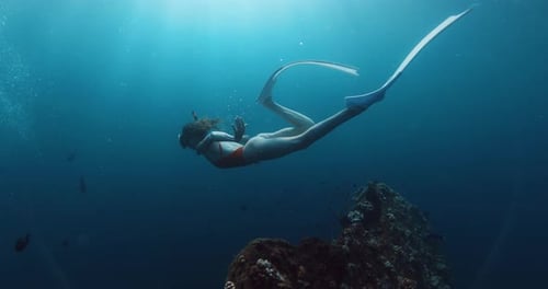 Freediver Woman Swims on Deep in Blue Ocean Underwater View Sexy Woman Swimming in Tropical Sea