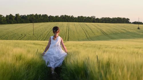Rear view. Cute happy little girls running on the field with wheat. Majestic landscape with sunshine