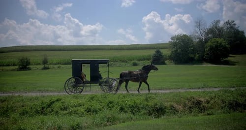 Amish Country, Ohio / United States - August 7 2018: Amish Buggy,