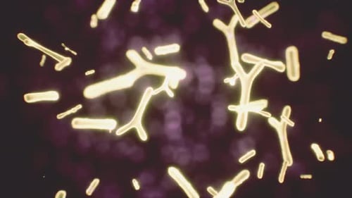 Abstract Glowing Microscopic Organisms Loop Background