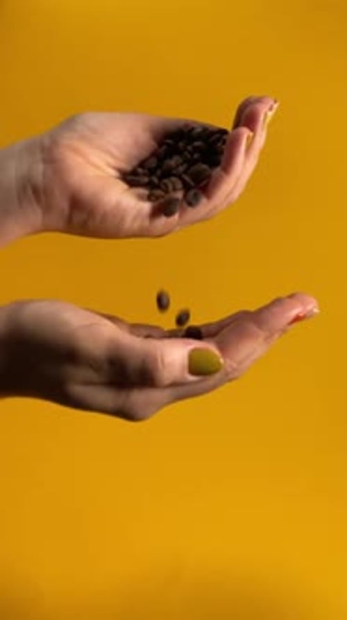 Concepto de cultura cafetera