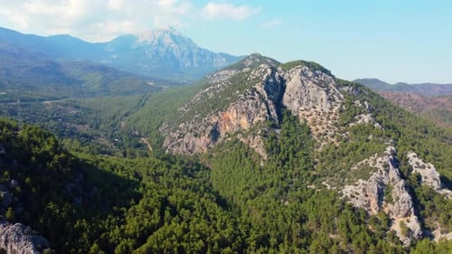 Aerial view of green pine forests and mountains