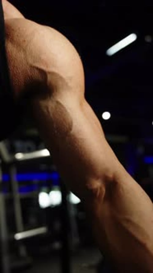 Closeup of a Muscular Arm Flexing During an Intense Gym Workout Showing Bulging Biceps Defined