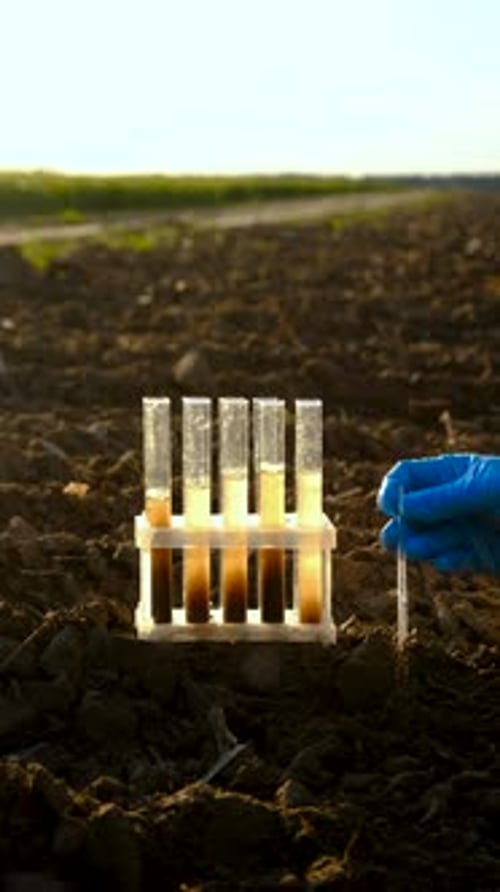 Field Soil Samples for Analysis Selective Focus