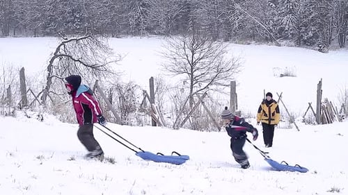 Children Pulling Sleds Through Snowy Winter Landscape