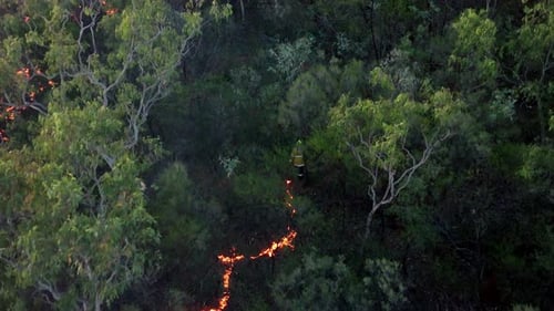 Necessary back burning being done in a North Western Australia forest