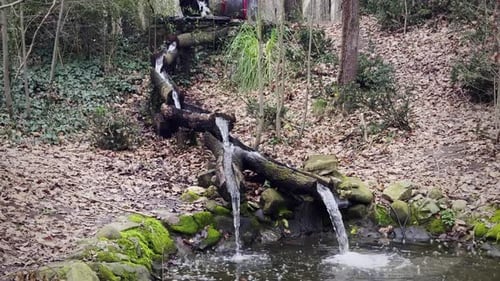 Water Mill In Nature 5